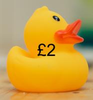 Duck Sales Tesco Dunblane Sat / Sun 18/19 May 10.00 to 18.00